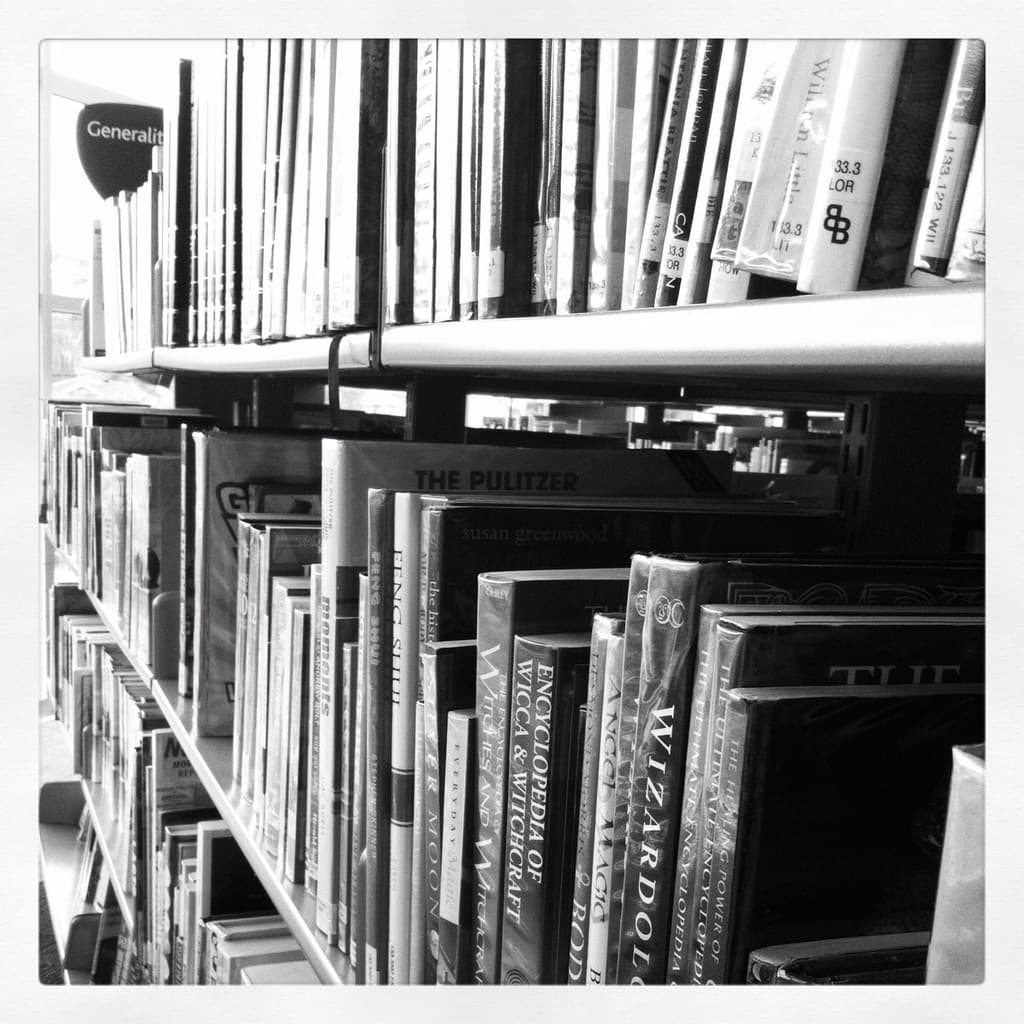 Ein h√∂lzernes Bücherregal voller B√ľcher, das mittig im Bild positioniert ist.