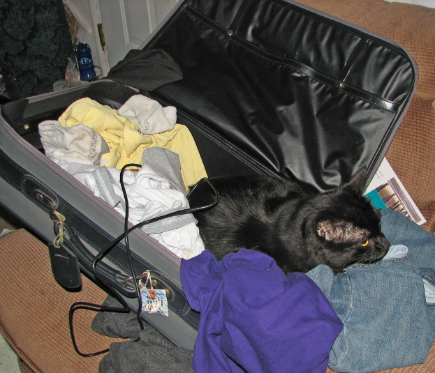 Ein Koffer auf einer Couch mit Kleidung, einer Katze und einem Kabel, mit einer Karte an der Rückseite.