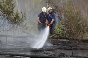 Zwei Feuerwehrleute in Helmen und Handschuhen verwenden einen Schlauch, um ein Waldfeuer zu löschen, mit Bäumen und Holzstämmen im Hintergrund.