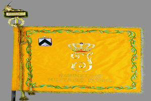 Eine gelbe Flagge mit einer Krone, Text und einem Schulwappen, an einem Mast befestigt.