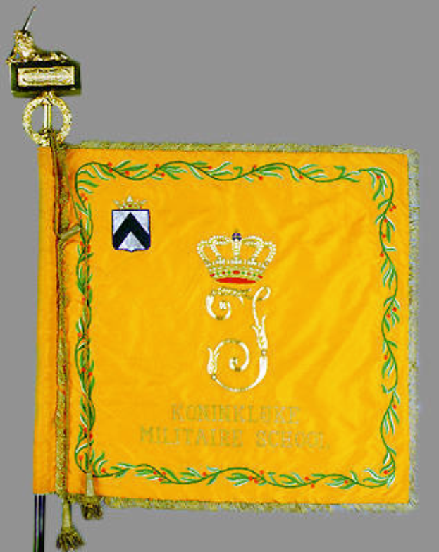 Eine gelbe Flagge mit einer Krone, Text und einem Schulwappen, an einem Mast befestigt.