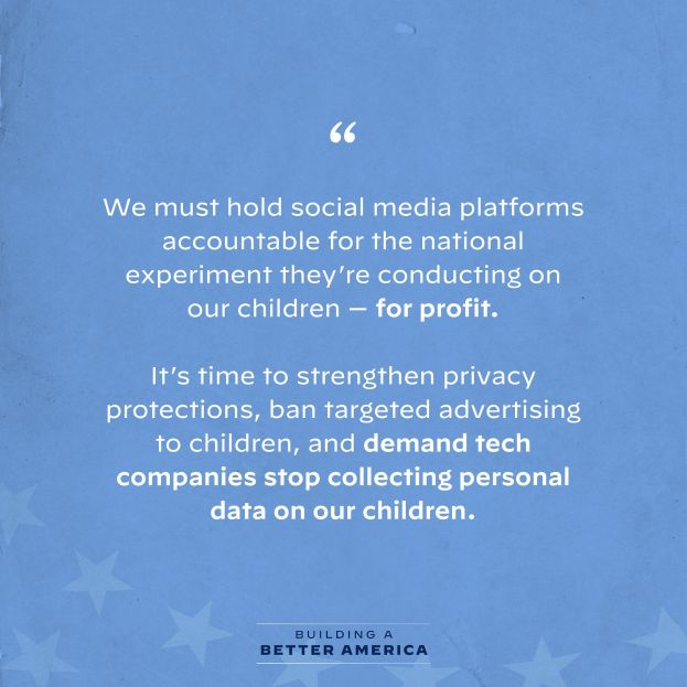 Plakat mit einem Zitat aus Building a Better America, das besagt, "Wir müssen Social-Media-Plattformen für das nationale Experiment zur Rechenschaft ziehen, das sie an unseren Kindern durchführen - zum Profit.", geschmückt mit Sternen.