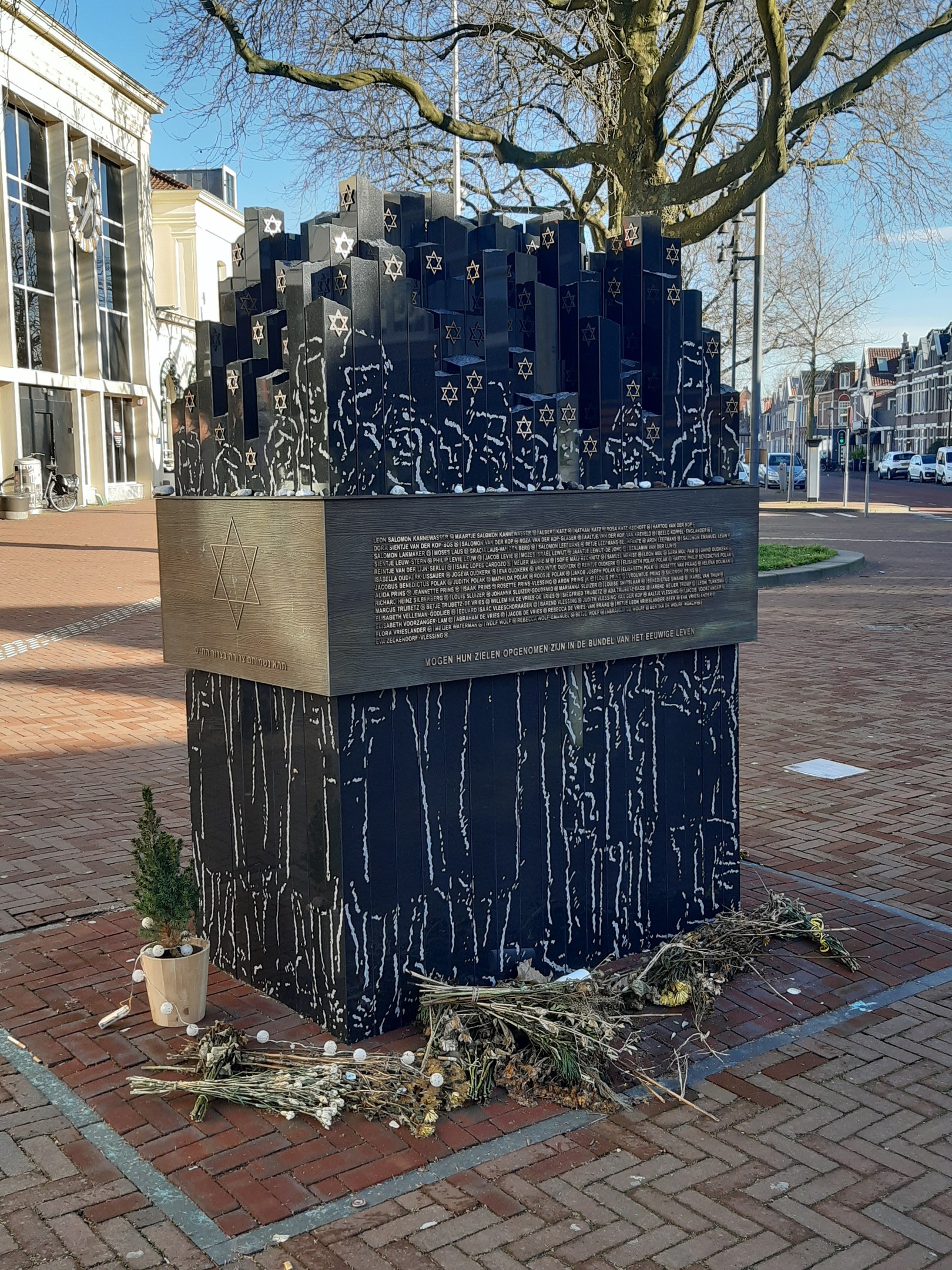 Denkmal in einem Stadtplatz für Holocaust-Opfer, mit einem Baum davor, einer Topfpflanze auf dem Boden, verstreuten trockenen Blättern und im Hintergrund Gebäude, Fahrzeuge, Masten und Bäume.