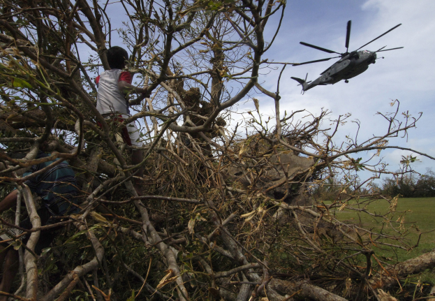 Ein grüner Hubschrauber teilweise unter einem umgestürzten Baum begraben, mit zwei Personen daneben, auf einer grasbewachsenen Fläche mit anderen Bäumen und einem bewölkten Himmel im Hintergrund.