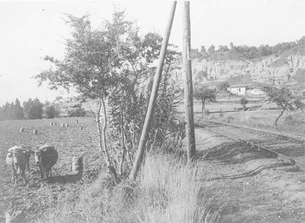 Schwarzes und weißes Foto von zwei Kühen, die neben einer Bahnstrecke stehen, mit Gras, Pfählen, Bäumen, Häusern, Hügeln und einem klaren Himmel im Hintergrund.