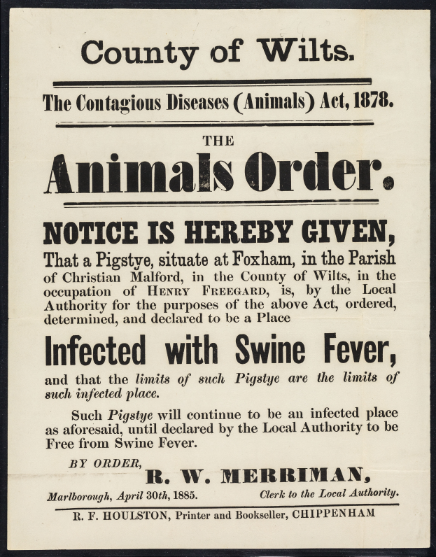 Ein Plakat mit Text, der die Animals Order Notice unter dem Contagious Diseases Animals Act, 1878, für Schweinepest im Landkreis Wilts ankündigt.