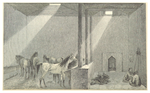 Eine bunte Zeichnung eines Raums mit zwei Pferden, zwei sitzenden Personen und verstreuten Gegenständen, mit Text unten.