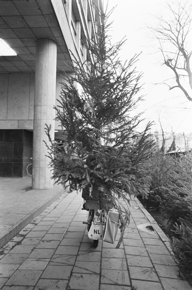 Ein Schwarz-Weiß-Bild eines Fahrrads mit einem Weihnachtsbaum auf dem Gepäckträger, das vor einem Gebäude mit Säulen und Deckenleuchten geparkt ist, mit Pflanzen rechts und Gebäuden und Himmel im Hintergrund.