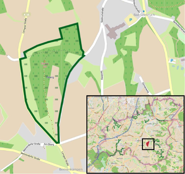 Detailierte Stadtkarte, die einen zentralen grünen Bereich markiert, der für die geplante Entwicklung vorgesehen ist, mit umliegenden Straßen, Gebäuden und Sehenswürdigkeiten.