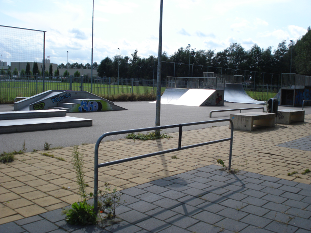 Ein Skatepark mit Rampen, Geländern, Pflanzen, Gras, Pfählen, Bäumen, Gebäuden und einem bewölkten Himmel im Hintergrund.