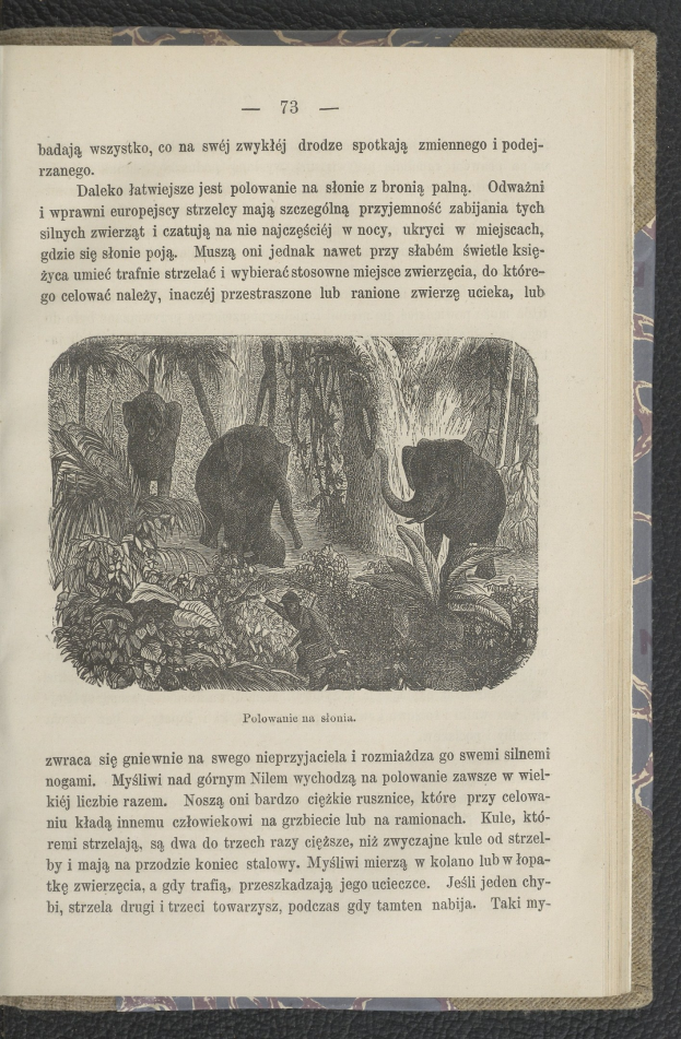 Offene Buchseite mit einer Illustration von zwei Elefanten in einer Dschungelszene, umgeben von Bäumen und Pflanzen, zusammen mit beschreibendem Text.