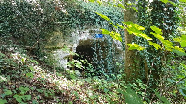 Kleine Höhle in einem bewaldeten Gebiet mit efeuumrankter Eingang, umgeben von Bäumen, Pflanzen und trockenen Blättern, mit einer Tafel in der Nähe.
