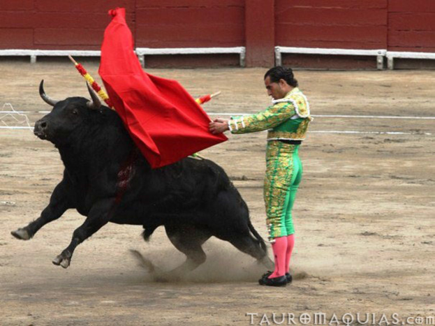 Ein Mann steht mit einem roten Tuch, einem schwarzen Bullen und einer Umzäunung im Hintergrund und einem Wasserzeichen in der rechten unteren Ecke.
