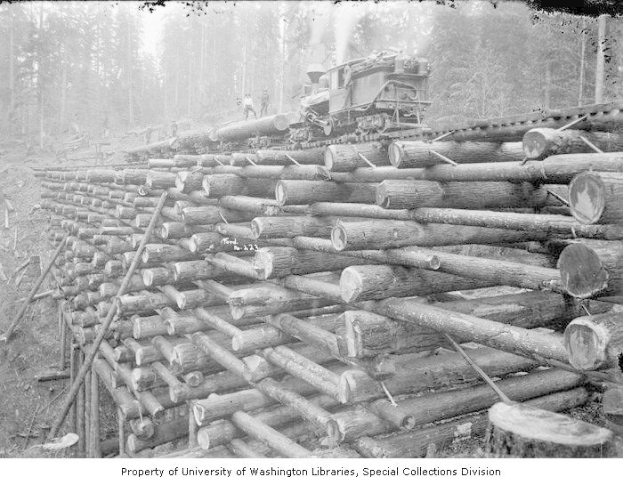 Schwarzes und weißes Foto eines Holzfällerlkw, der neben einem Holzstapel in einem bewaldeten Gebiet geparkt ist, mit mehreren Menschen auf den Holzstämmen und Bäumen im Hintergrund.