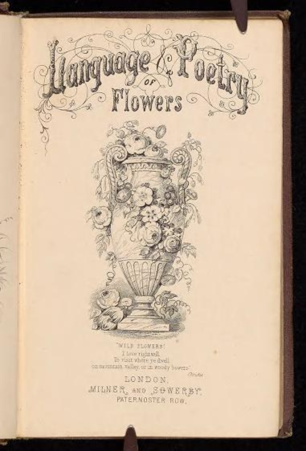 Offenes Buch mit dem Titel "Sprache und Poesie der Blumen" (1867) von Milner und Sowerby, das eine Vase mit Blumen zeigt.
