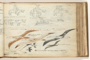 Ein aufgeschlagenes Buch mit Zeichnungen von Vögeln in verschiedenen Posen und Menschen, die zu ihnen aufschauen, mit geschwungener Schrift auf den Seiten.