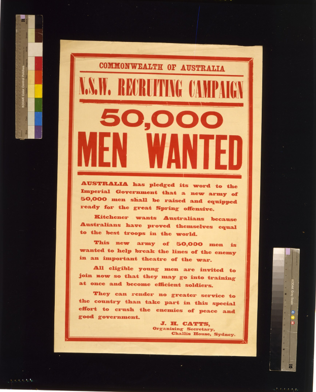 Ein Plakat mit fetter, schwarzer Schrift, die 'N.S.W. Recruiting Campaign 50,000 Men Wanted' lautet, auf einem weißen Hintergrund, umrahmt von schwarz.