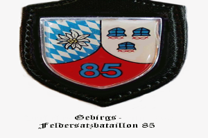 Ein Abzeichen mit der Nummer 85, das das bayerische Fußballteam repräsentiert, mit deutschem Text darunter.