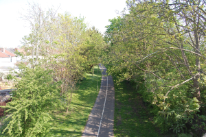 Ein Weg schlängelt sich durch einen dichten Wald aus grünen Bäumen, mit Gebäuden in der Ferne unter einem klaren blauen Himmel.