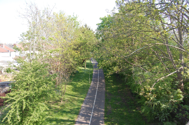 Ein Weg schlängelt sich durch einen dichten Wald aus grünen Bäumen, mit Gebäuden in der Ferne unter einem klaren blauen Himmel.