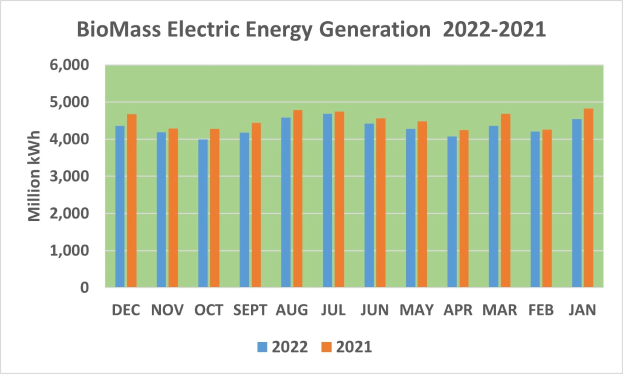 Graphik zur Stromerzeugung aus Biomasse von 2021 bis 2022 mit begleitendem Text.