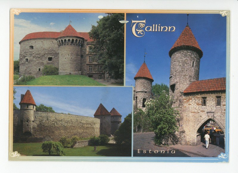 Supporter des Königs haben sich selbst übertroffen Eine Wikingerburg als Residenz des Königs