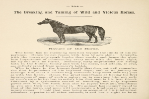 Ein Blatt Papier mit einer Zeichnung eines aufgerichteten Pferdes mit hoher Kopfhaltung, wallender Mähne und Schweif, weit aufgerissenen Augen und gespitzten Ohren, neben einer fett gedruckten überschrift, die "Das Zureiten und Dressieren von Wilden und Bösen Pferden" lautet.