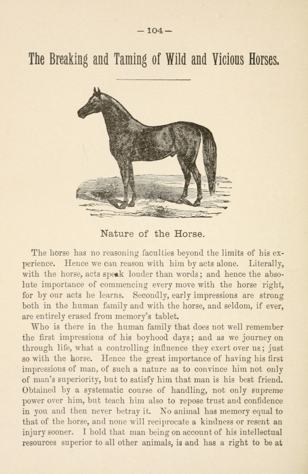 Ein Blatt Papier mit einer Zeichnung eines aufgerichteten Pferdes mit hoher Kopfhaltung, wallender Mähne und Schweif, weit aufgerissenen Augen und gespitzten Ohren, neben einer fett gedruckten überschrift, die "Das Zureiten und Dressieren von Wilden und Bösen Pferden" lautet.