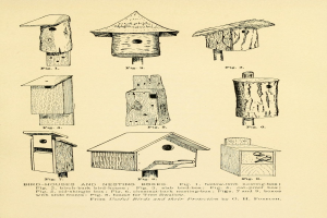 Eine detaillierte Zeichnung verschiedener einzigartig geformter und gestalteter Vogelhäuser und Nistkästen auf einem Papier, begleitet von Text, der ihre Größe, Form und Merkmale beschreibt.