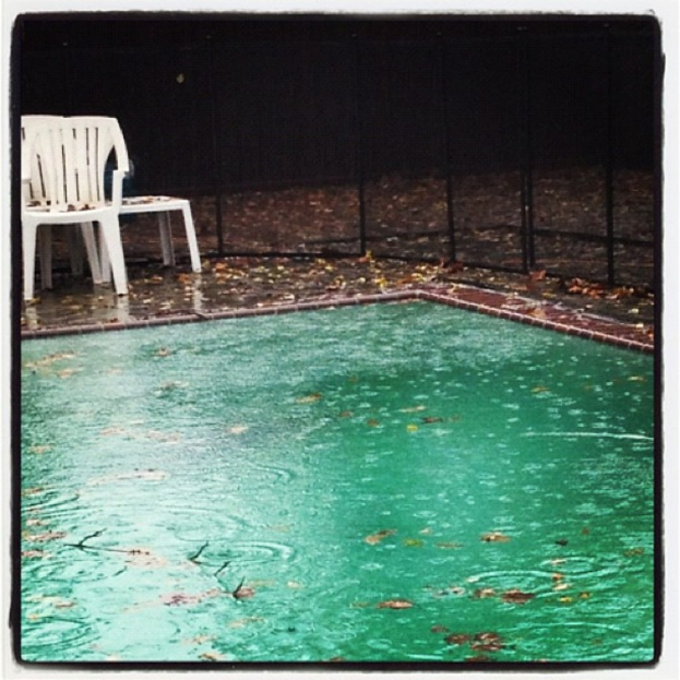 Ein Schwimmbad mit trockenen Blättern auf dem Wasser, umgeben von ein paar Stühlen und einem Netzzaun, mit einem dunklen Hintergrund.
