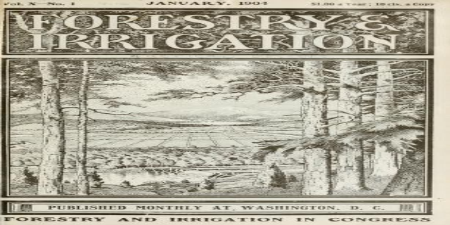Ein altes Papierdokument mit der Überschrift "Forstwirtschaft und Bewässerung, Januar 1904", das eine Illustration von grünen Bäumen in verschiedenen Schattierungen zeigt, mit fetter schwarzer Schrift und einem altertümlichen Aussehen.
