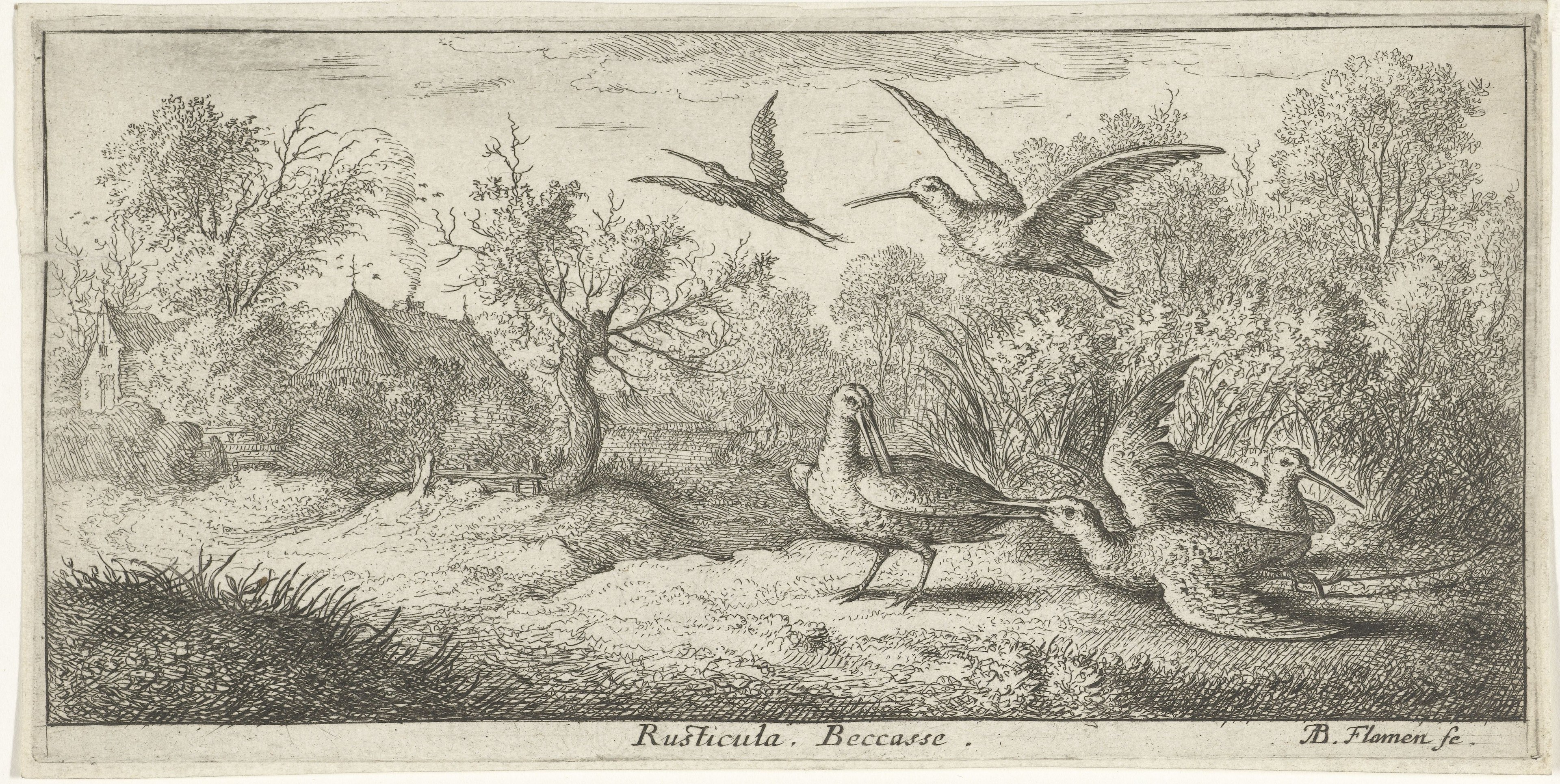Waldlandschaft mit einer Gruppe von Vögeln, die über Bäume, Pflanzen, Gras und Häuser fliegen; Text unten.