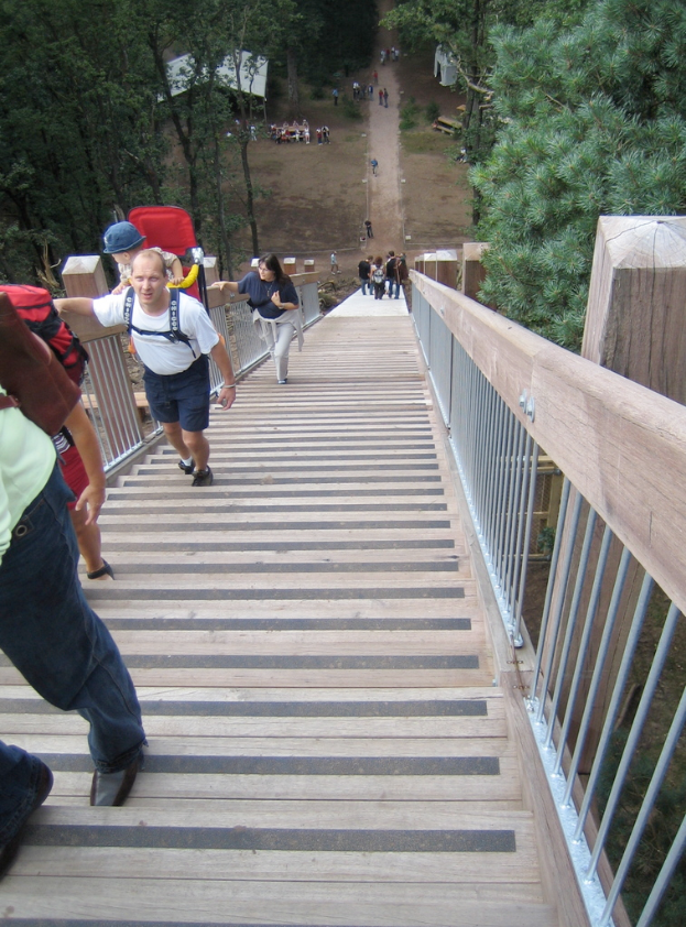 Eine Gruppe von Menschen versammelt sich unter dem Sternenhimmel mit Zelten, Bänken und umgeben von Bäumen im Hintergrund.