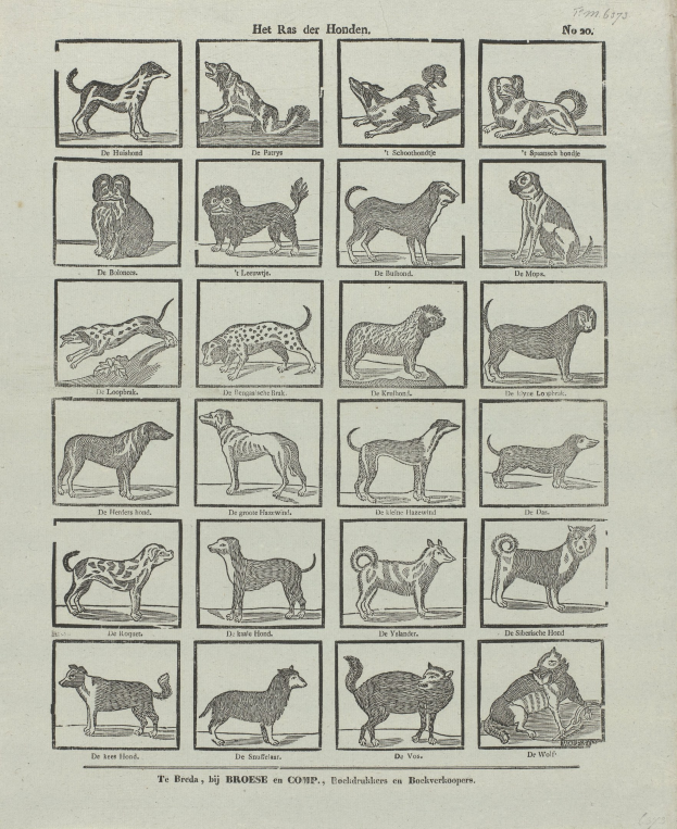 Ein offenes altes Buch, das verschiedene Hunderassen mit begleitenden Textbeschreibungen auf der sichtbaren Seite zeigt.