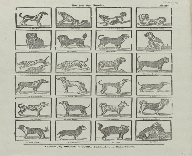 Ein offenes altes Buch, das verschiedene Hunderassen mit begleitenden Textbeschreibungen auf der sichtbaren Seite zeigt.