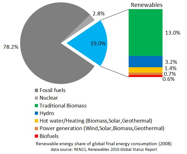 Ein Kreisdiagramm, das den globalen erneuerbaren Energieverbrauch im Jahr 2008 zeigt, unterteilt in Abschnitte für fossile Brennstoffe, Kernenergie, Wasserkraft, Heizung, Biomasse, Solarenergie, Geothermie und Biokraftstoffe.