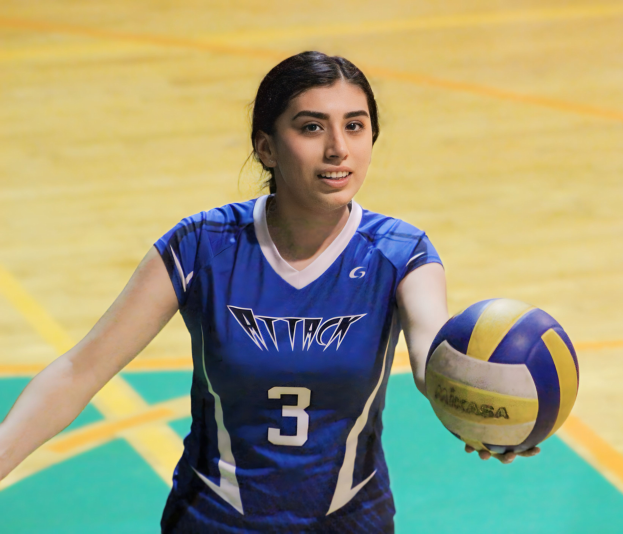 Eine Frau in einem blauen T-Shirt und Pferdeschwanz steht auf einem Volleyballfeld, hält einen Volleyball und hat einen entschlossenen Gesichtsausdruck.