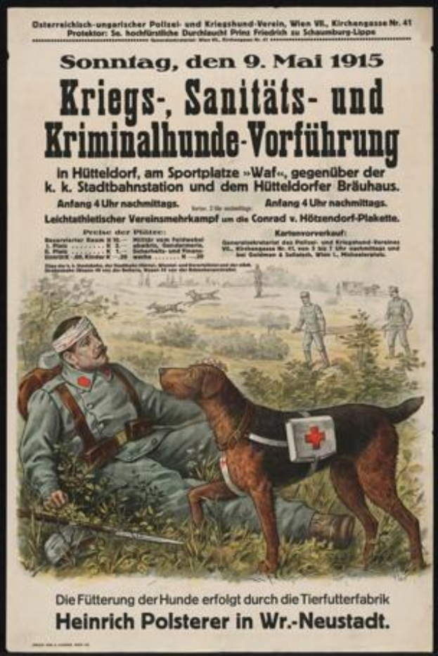Deutsches Militär erwartet Anstieg militärischer Tierversuche in der Forschung